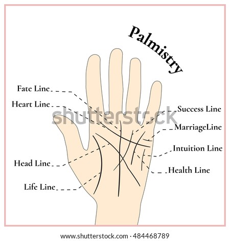 Palmistry Guessing On Hand Lines On Stock Vector 484468789 ...