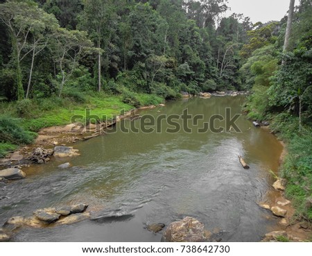 Think, southeast asian rain forest 3012 you thanks Southeast asian rain forest 3012 commit