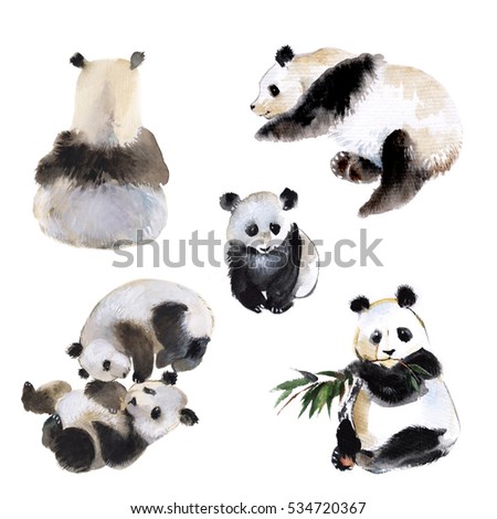 panda stock images royalty free images vectors panda stock images royalty free images vectors