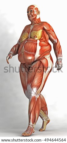 Render Anatomical Fat Woman Muscles Skin Stock Illustration 494645485