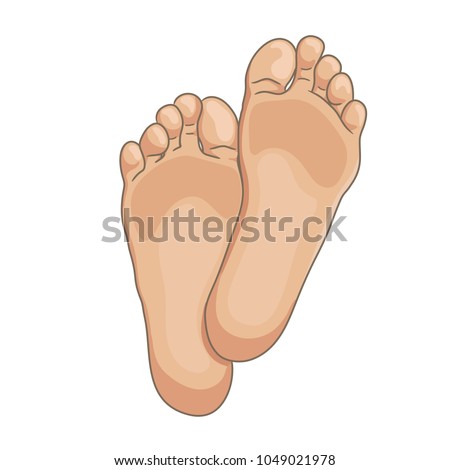 Bottom Of Foot Stock Images, Royalty-Free Images & Vectors | Shutterstock