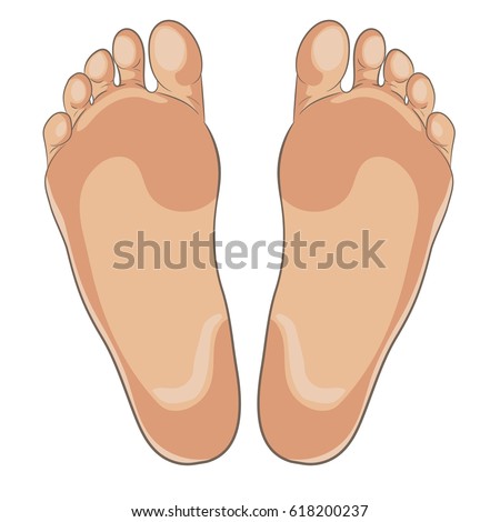 Bottom Of Feet Stock Images, Royalty-Free Images & Vectors | Shutterstock