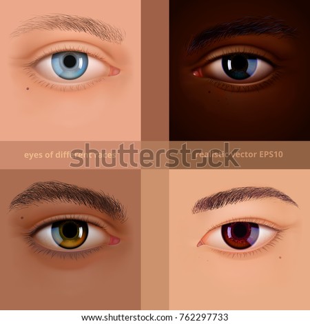 Vector Set Human Eyes Facial Collection Stock Vector 762297733 ...