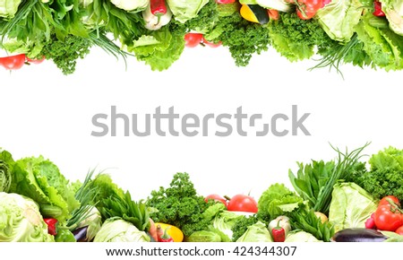 Chinchilla Diet Vegetables Salad
