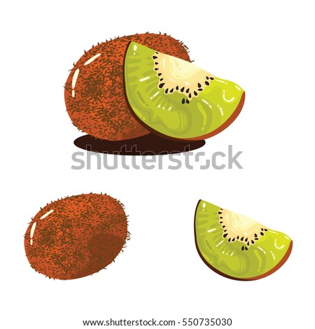Kiwi Fruit Fresh Realistic Vector Illustration