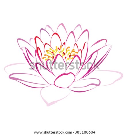 Lotus Handdrawn Style Vector Illustration Stock Vector 95764846 ...