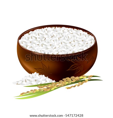 Rice bowl. Hand drawn vector illustration of short-grained rice with panicle on white background