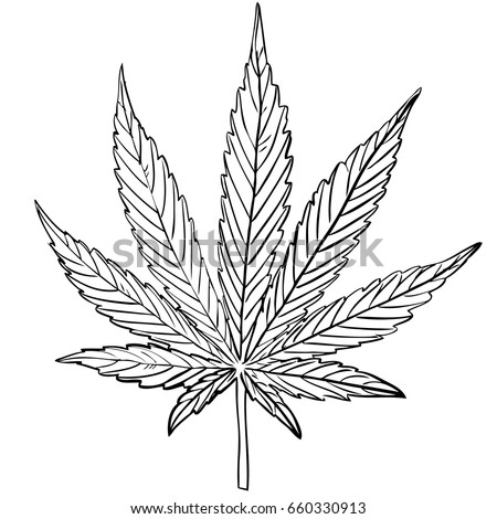 sketch sur le cannabis
