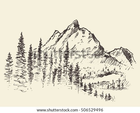 Sketch Mountains Pine Forest Engraving Style Stock Vector 506529496 ...