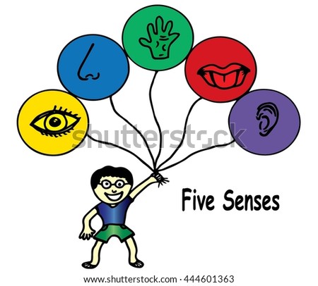 stock vector five senses icon with balloon 444601363
