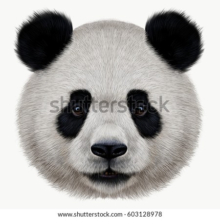 Panda Face Stock Images, Royalty-Free Images & Vectors | Shutterstock