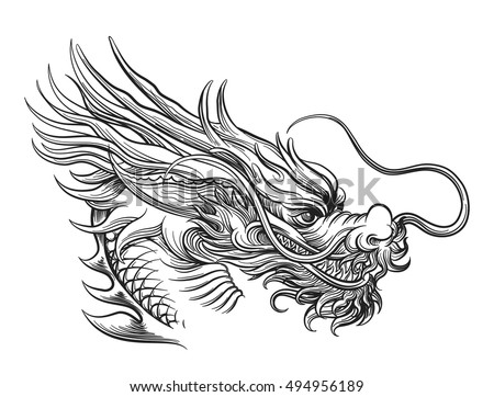 Hand Drawn Chineese Dragon Isolated On Stock Vector 494956189 ...