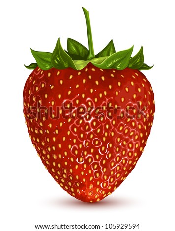 Strawberry. vector illustration EPS 8. No mesh, no gradients