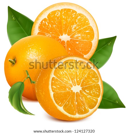 Oranges with leaves. Half cut and whole oranges. Vector illustration.