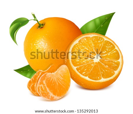 Photo-realistic vector illustration. Fresh oranges fruits with green leaves and slices.