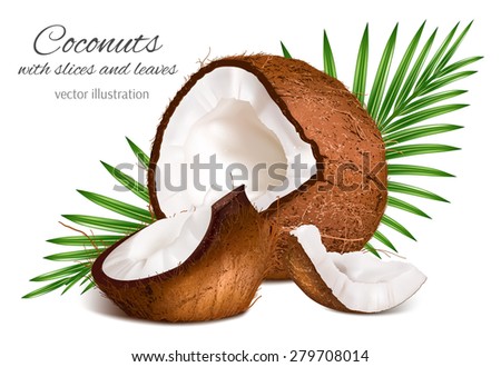 Coconuts with leaves. Vector illustration.