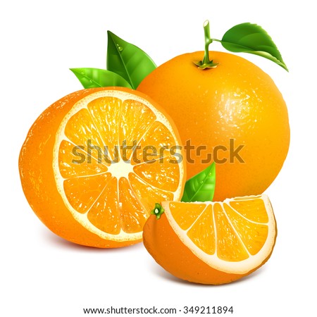 Fresh ripe oranges with leaves. Vector illustration.