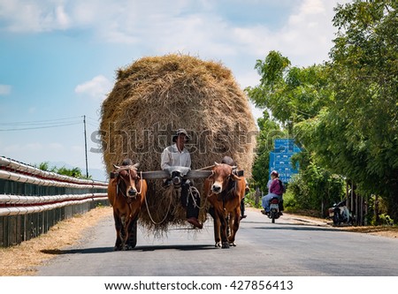 Ninh Thuan. VIETNAM, December 22, 2015 simple pull carts, in traffic, rural Ninh Thuan, Vietnam