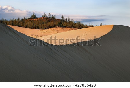 Ninh Thuan. VIETNAM, December 22, 2015 sand hills, countryside, Ninh Thuan Vietnam