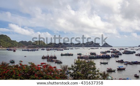 CAT BA, VIET NAM, May 27, 2016 Bay Cat Ba, Hai Phong City, Vietnam