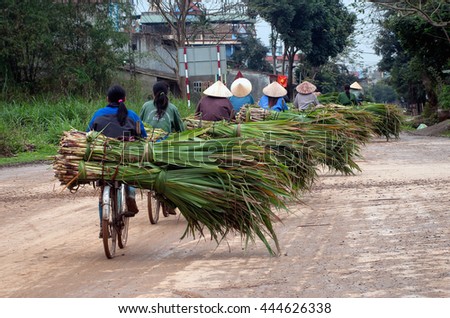 THANH HOA, Vietnam, May 16, 2016 Women's groups, rural areas. Thanh Hoa Province, Vietnam. cycling, or cane sugar, on the way home
