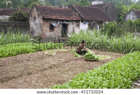THANH HOA, Vietnam, July 12, 2016 vegetable garden farmers, rural areas in Thanh Hoa, Vietnam