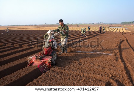 HAI DUONG, Vietnam, September 20, 2016 farmers groups, rural Hai Duong, planting carrots