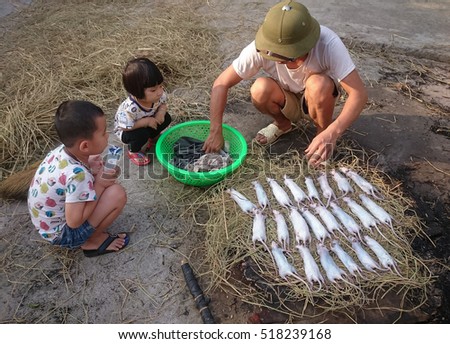 HAI DUONG, Vietnam, November 19, 2016 fathers and children, rural Hai Duong, Vietnam, fire, called (THUI) many field mice, this is their favorite food