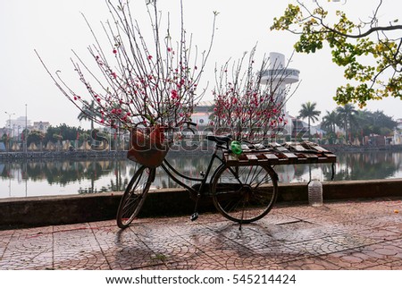 HAI DUONG, Vietnam, December 30, 2106 bicycles, people in rural areas Gia Loc, Hai Duong province, selling peach blossom, on the occasion of the spring sale