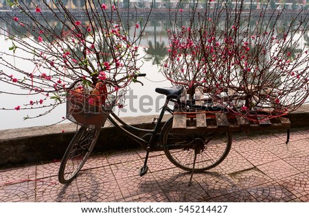 HAI DUONG, Vietnam, December 30, 2106 bicycles, people in rural areas Gia Loc, Hai Duong province, selling peach blossom, on the occasion of the spring sale