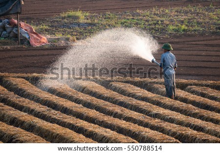 HAI DUONG, Vietnam, September 20, 2016 farmers groups, rural Hai Duong, planting carrots