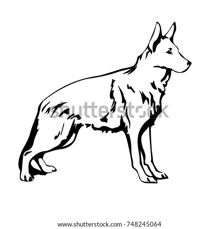 Silhouette Wolf Wildlife Vector Illustration Mountain Stock Vector ...
