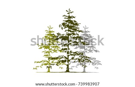 Cedar Tree Stock Images, Royalty-Free Images & Vectors | Shutterstock