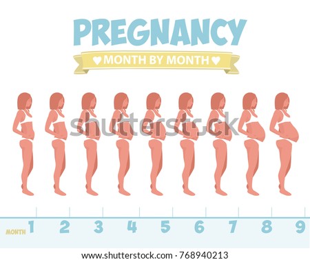 Fetus Stages Stock Images, Royalty-Free Images & Vectors ...