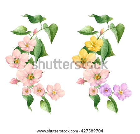 watercolor flowers