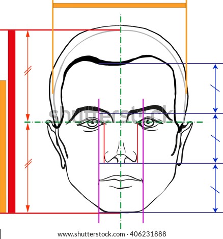 Male Face Proportions Scheme Vector Illustration Stock Vector 405757924 ...