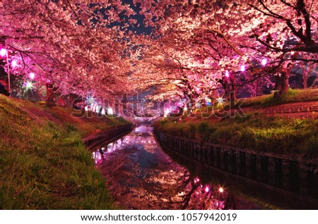 画像ページを表示します 画像