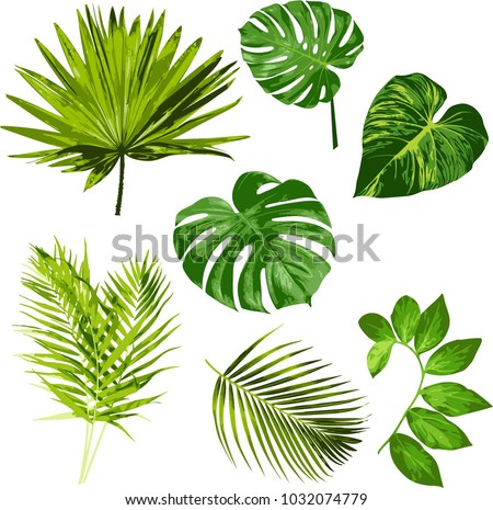 Tropical Leaves Vector Herbal Clipart Digital Stock Vector 1032074779 ...