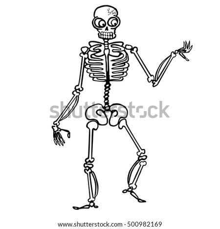 Cartoon Skeleton Hand Drawn Illustration Vector Stock Vector 500982169 ...