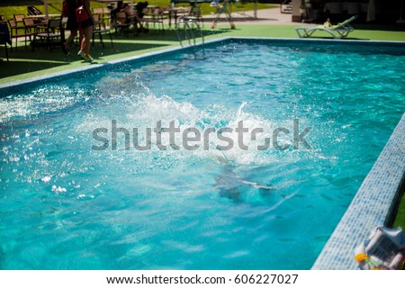 Pool Water Splash Pool Water Splash
