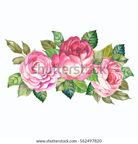 Rosebush Pattern Pink Rose Wedding Drawings Stock Illustration
