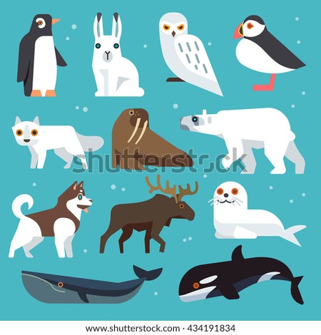 Colorful Arctic Wildlife Concept Different North Stock Vector 619078358 ...