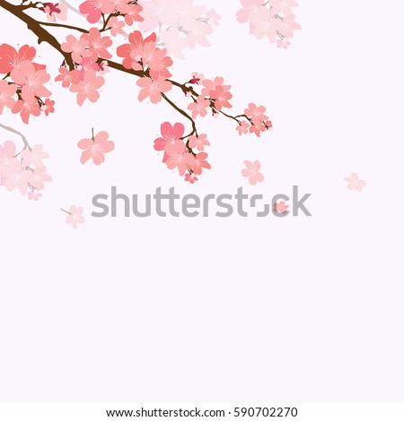 Vector illustration blooming branch cherry. Floral background