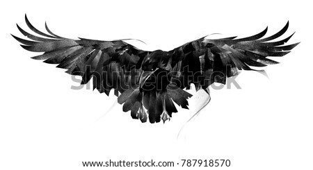 Crows Flying Stock Images, Royalty-Free Images & Vectors | Shutterstock