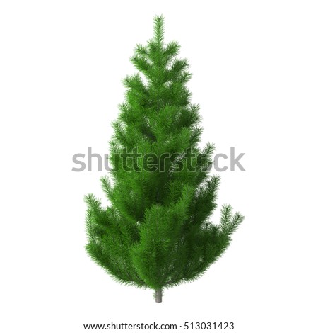 Christmas Trees Without Ornaments christmas tree without ornaments stock images, royalty-free images Christmas Trees Without Ornaments christmas tree without ornaments stock images, royalty-free images