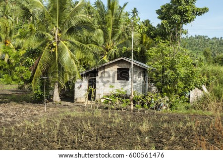 Asian nipa huts Ladies online catalog of ukraine