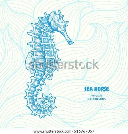 Seahorse Stock Images, Royalty-Free Images & Vectors | Shutterstock