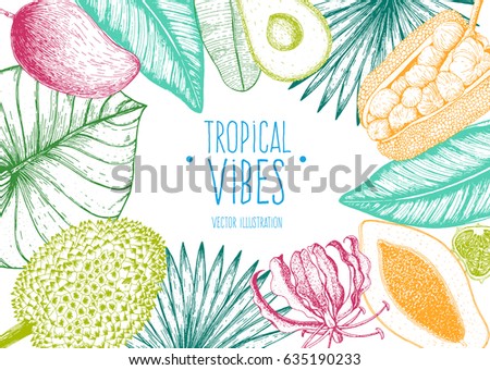 Tropical palm leaves design template. Bright palm leaves and tropical fruits frame. Botanical set vector illustration with jack fruit, mango, durian, papaya and avocado