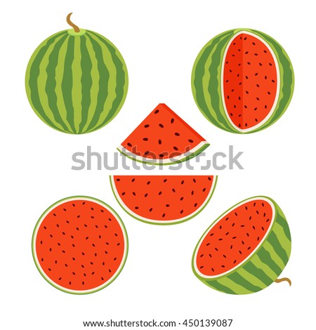 Set of juicy whole watermelons and slices in flat vector style. Watermelon illustration.