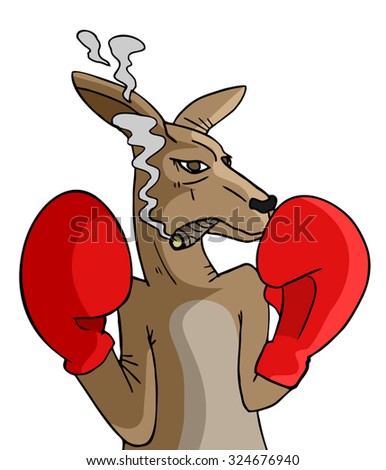 Boxing Kangaroo Stock Vectors & Vector Clip Art | Shutterstock